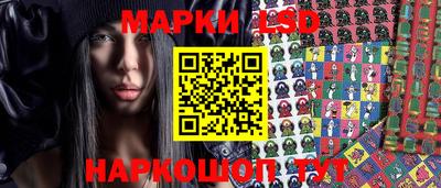 хмурый Новозыбков