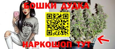 хмурый Новозыбков