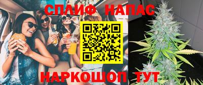 хмурый Новозыбков