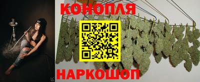 винт Новокубанск